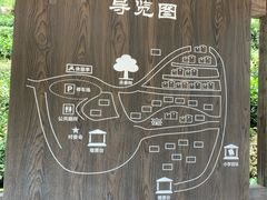 -杨家堂村