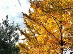 -四川北路(地铁站)