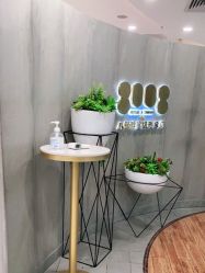 -八佰伴8008星级形象店