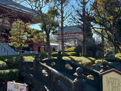 -浅草寺