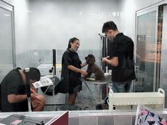 -1013 PET SHOP 宠物商店(近铁城市广场店)