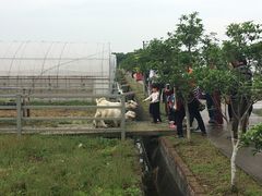 -上膳源有机农场