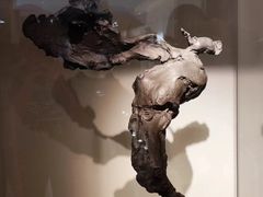 -南京博物院