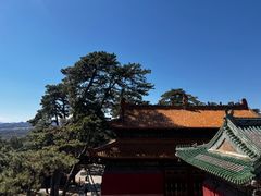 -普乐寺