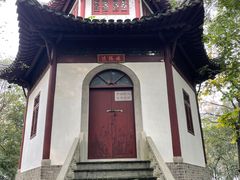 -上海佘山国家森林公园天马山园