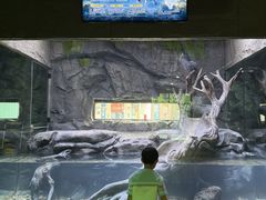 -海合安成都极地海洋公园