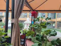 -思金拉措庄园藏餐(太阳岛店)