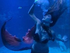 -太平洋海底世界