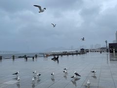-星海广场