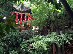 钦善斋-钦善斋(武侯祠店)