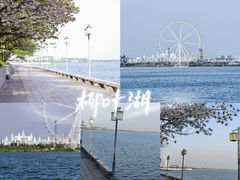-屈原公园