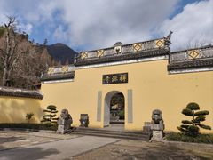 -天目山大树王景区