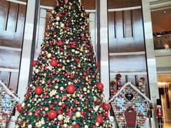 -深圳星河丽思卡尔顿酒店