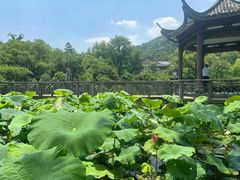-杭州花家山庄