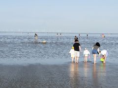 -南汇嘴观海公园