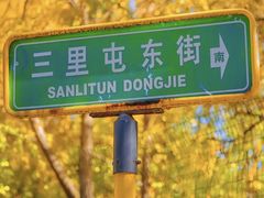 -三里屯东五街银杏大道