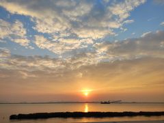 -芒洲湿地公园