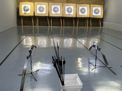 -蓝天射箭馆·专业射箭运动(诚丰广场店)