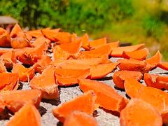 -广州市流溪河国家森林公园