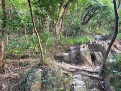 -紫金山山顶公园