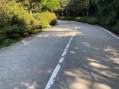 -梧桐山风景名胜区