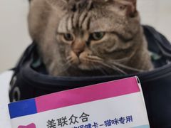 -美联众合动物医院·24h京西诊疗中心