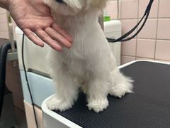 -FAELING PETS美天灵宠物(富力广场店)