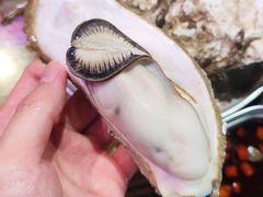 -蚝堡海鲜·威海菜·海肠捞饭·烧烤·亚洲吃蚝公司(幸福门店)