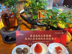 -龙吟山房(青龙山庄店)