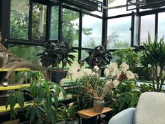 -北马山庄植趣咖啡