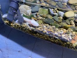 -Zoolung Zoolung动物主题公园(海信广场店)