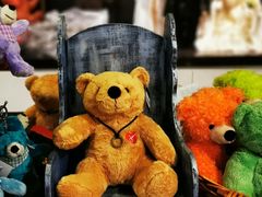 -济州岛泰迪熊博物馆