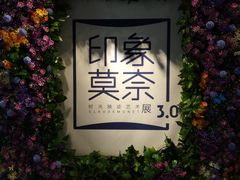 -印象莫奈时光映迹艺术展