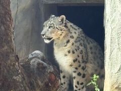 -青藏高原野生动物园