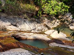 -广州白江湖森林公园