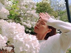 -平湖九龙山庄园圣马可酒店