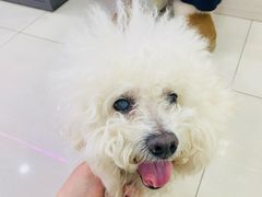 -天宠宠物医院24小时·急重症诊疗中心·全科·腔镜特色(和平分院)