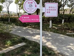-高东镇樱花园