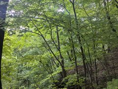 -五女山景区