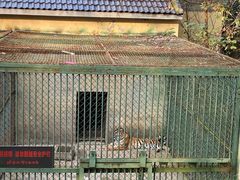 -合肥野生动物园