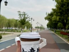 -武汉知音号