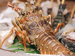 -白仁仔· 活烤海鲜 宵夜(豫园店)
