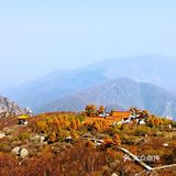 把车开上百花山