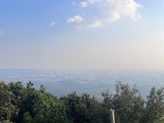 -紫金山山顶公园
