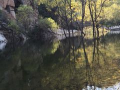 -辛玛王国游乐园