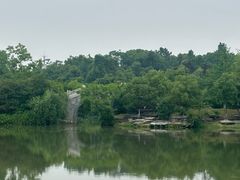 -八大山人梅湖景区