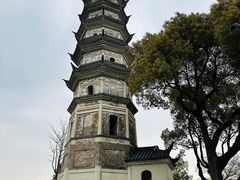 -苏州上方山国家森林公园