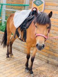 -小蜜蜂农场(凯德七宝购物广场店)