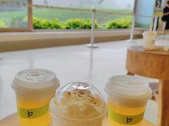 -白茶原·一片叶子