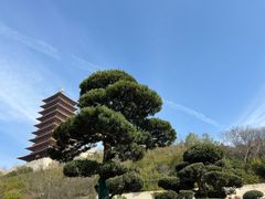 -牛首山文化旅游区